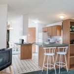 Cabin kitchen and living area